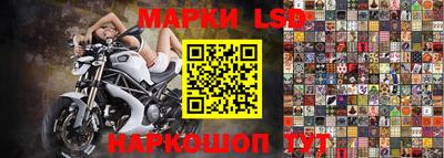 прущие грибы Волгодонск