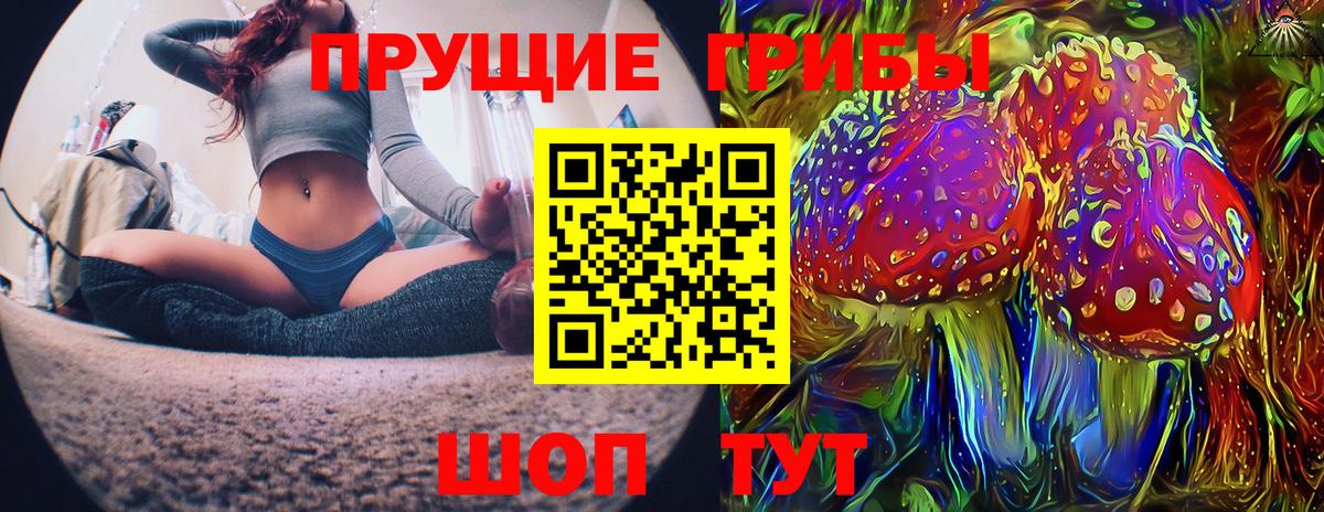 Галлюциногенные грибы GOLDEN TEACHER  Вход с VPN  Большой Камень  Псилоцибиновые грибы Psilocybe 